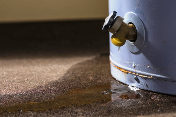 Best 24-hour water damage restoration  in Sanborn, IA