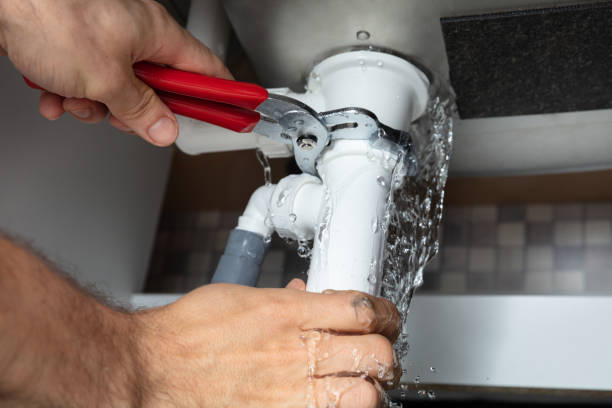 Best Mold removal after water damage  in Sanborn, IA