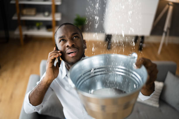 Best 24/7 water damage repair  in Sanborn, IA