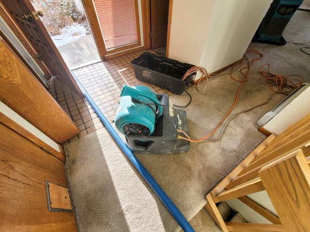 Best Fire Damage Restoration  in Sanborn, IA