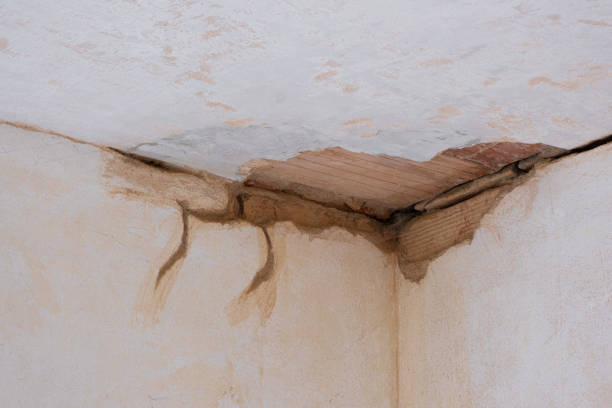 Best Flooded house restoration  in Sanborn, IA