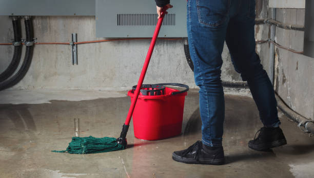 Best Flood damage cleanup  in Sanborn, IA