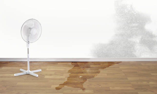 Best Flood restoration services  in Sanborn, IA