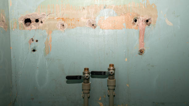 Best Residential water damage restoration  in Sanborn, IA