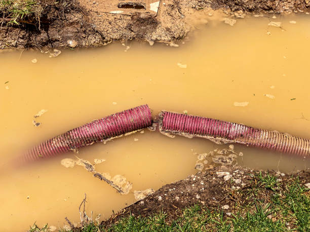Best Sewage cleanup and water damage restoration  in Sanborn, IA