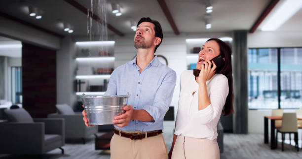Best Water damage contractors near me  in Sanborn, IA
