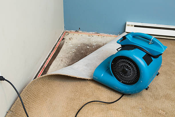Best Water damage restoration near me  in Sanborn, IA